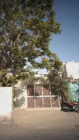 گل و گیاه رستمی