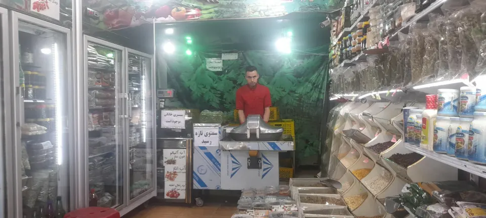 سبزی خردکنی نمونه