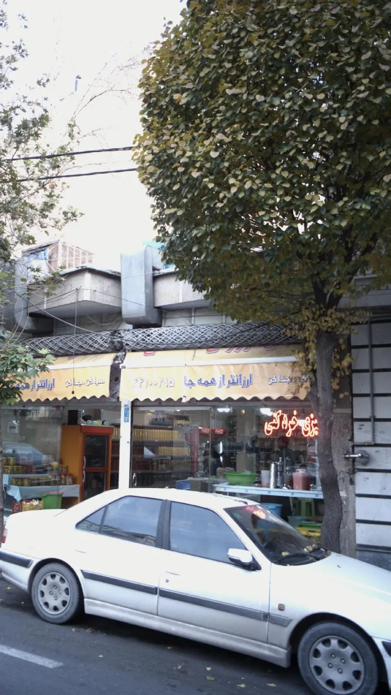 سبزی خرد کن برگ سبز