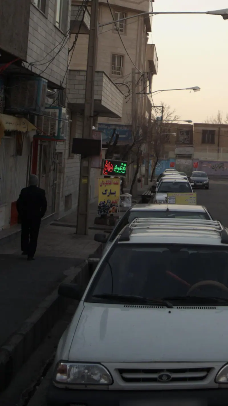 تخمه آفتابگردان پارک