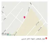 پست ریه