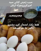 سیب زمینی تنوری سید عمی