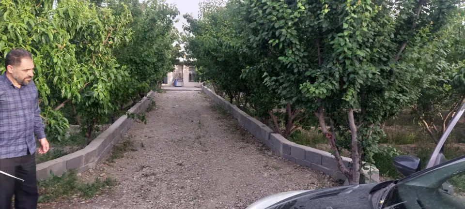 باغ حمداله محمدی