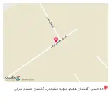 رنگ کفش سیوان