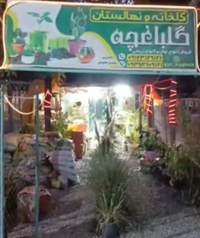 گلخانه و نهالستان گلباغچه