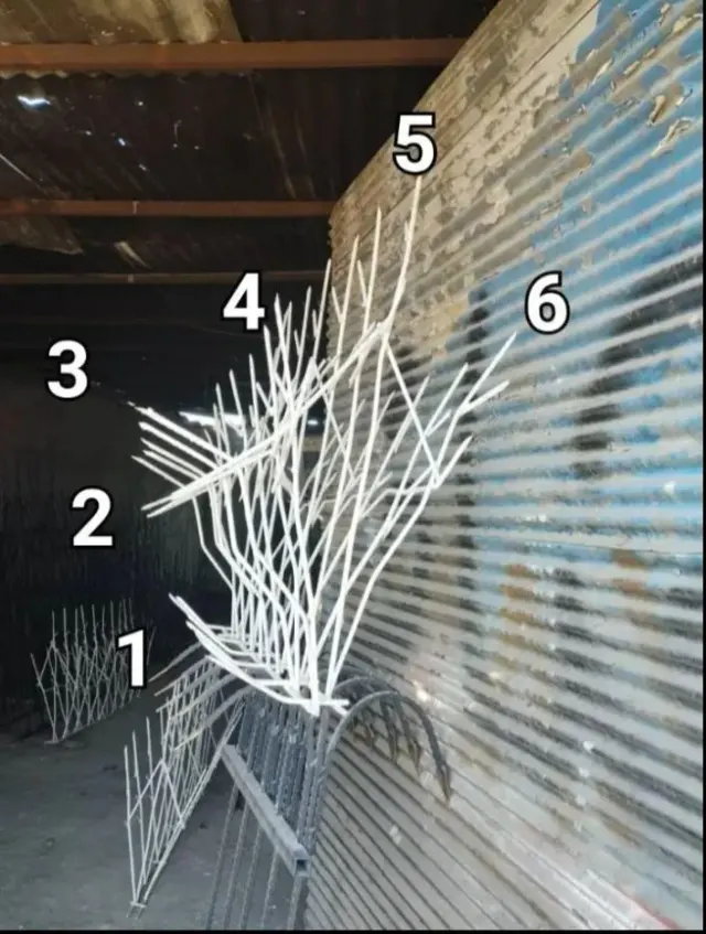 تولیدی حفاظ شاخ گوزنی