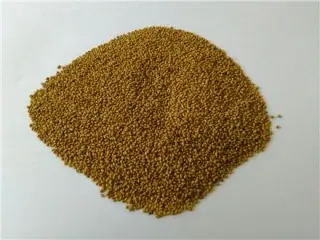 فروش بذر یونجه اصیل همدانی