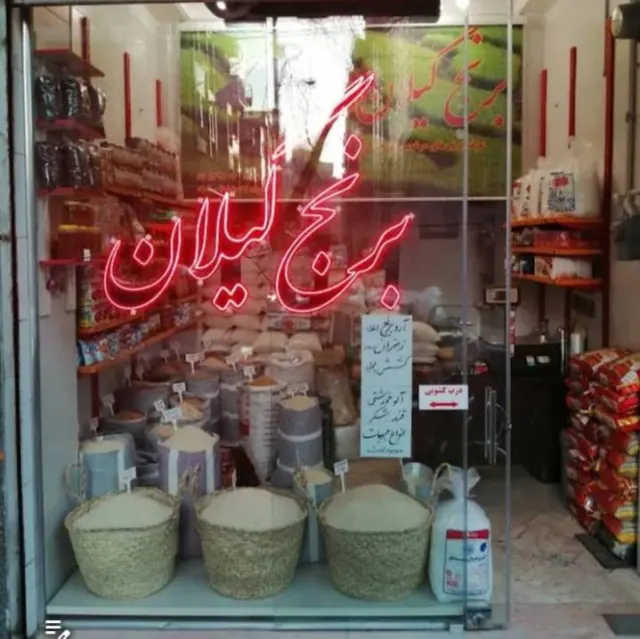 برنج گیلان