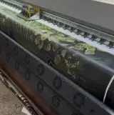 دایا بکدراپ