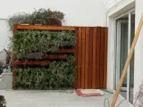 طراحی و اجرای فضای سبز و محوطه سازی سبزگ