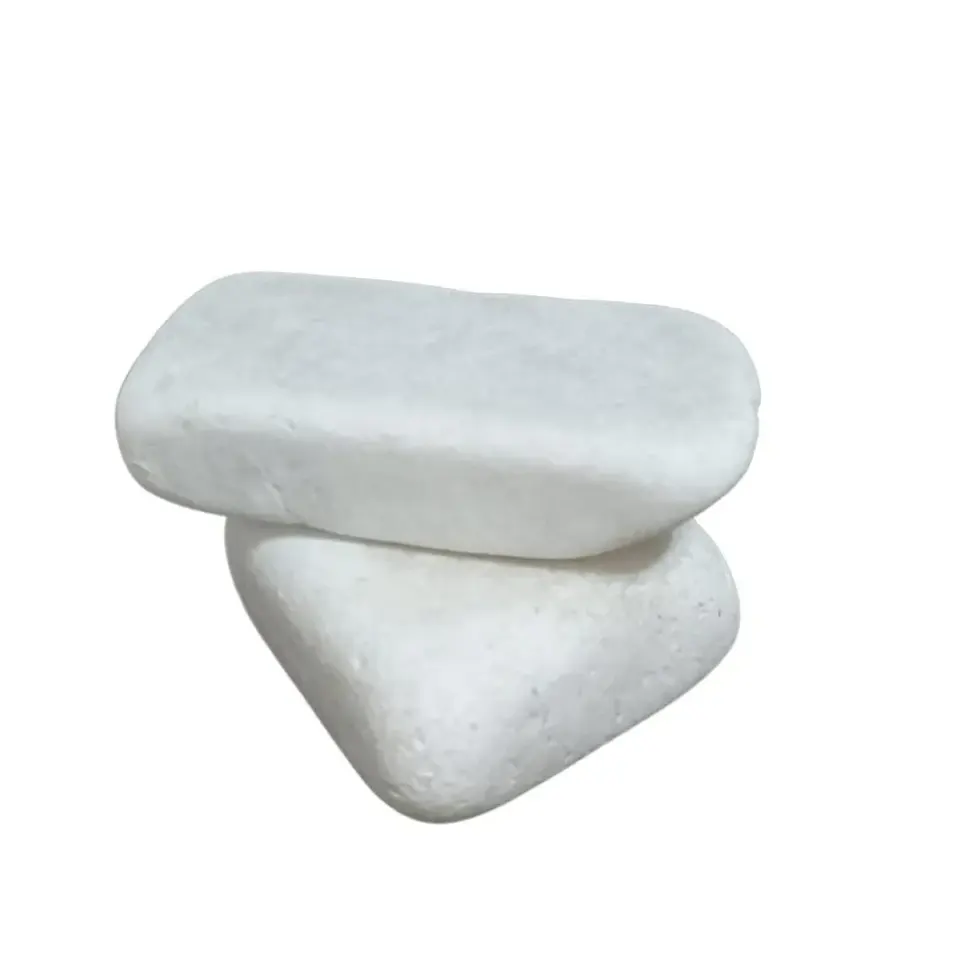 پروفسور کمپانی