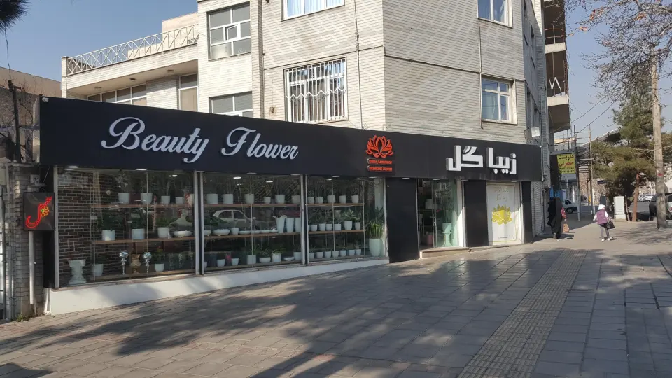 زیبا گل
