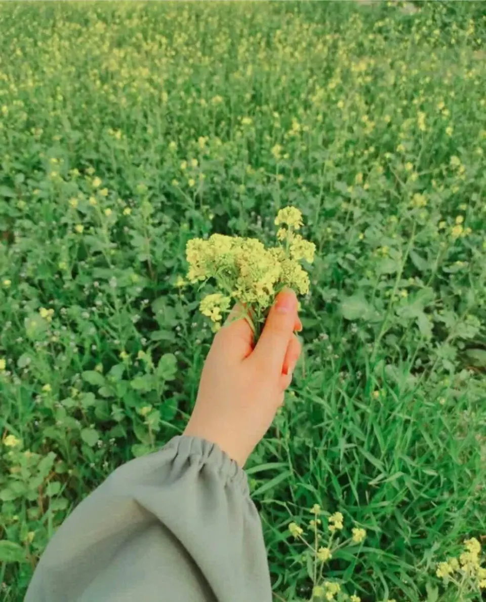 مدرسه شهید ایرجی