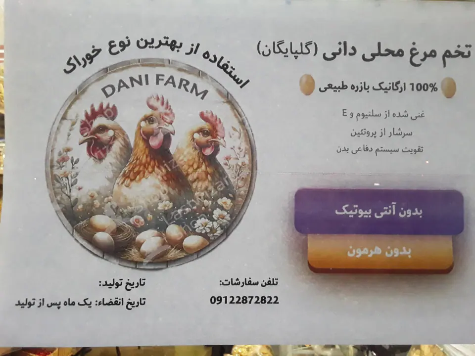 تخم مرغ ارگانیک