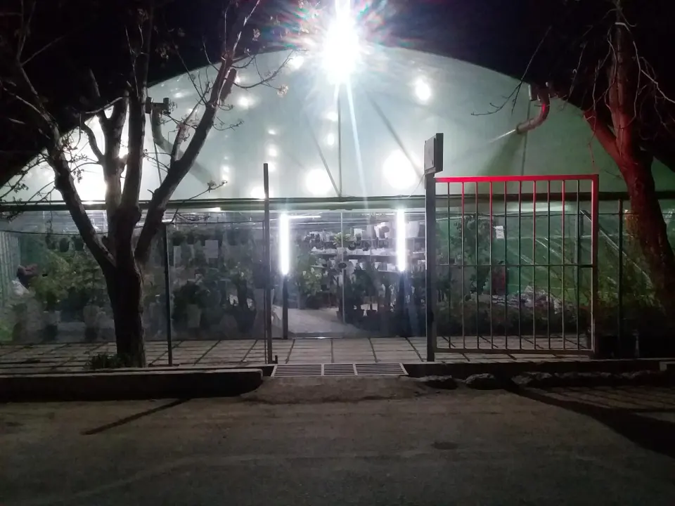 گلخانه پاندانوس