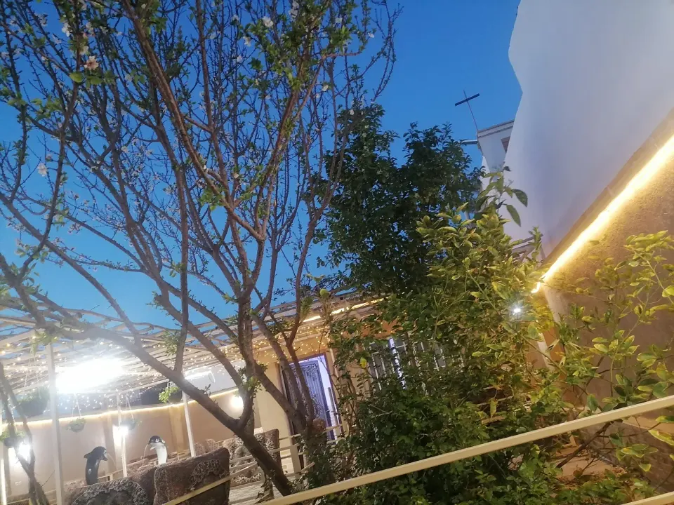 رستوران ته چین