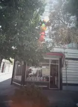 فروشگاه برنج و حبوبات علی