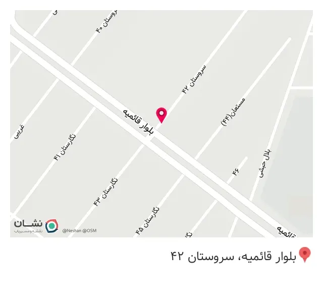 کفش پاریم لطفی