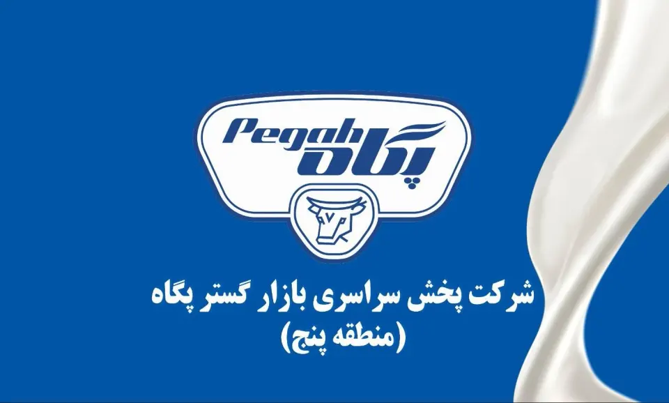 بازارگستر منطقه 5 پگاه