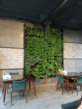 طباخی دی تو دی پاکدشت