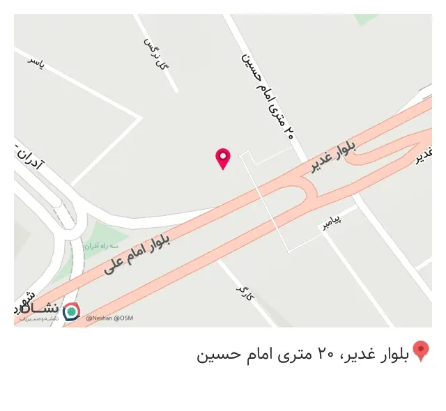 آبمیوه طبیعی میکی موس شعبه آدران