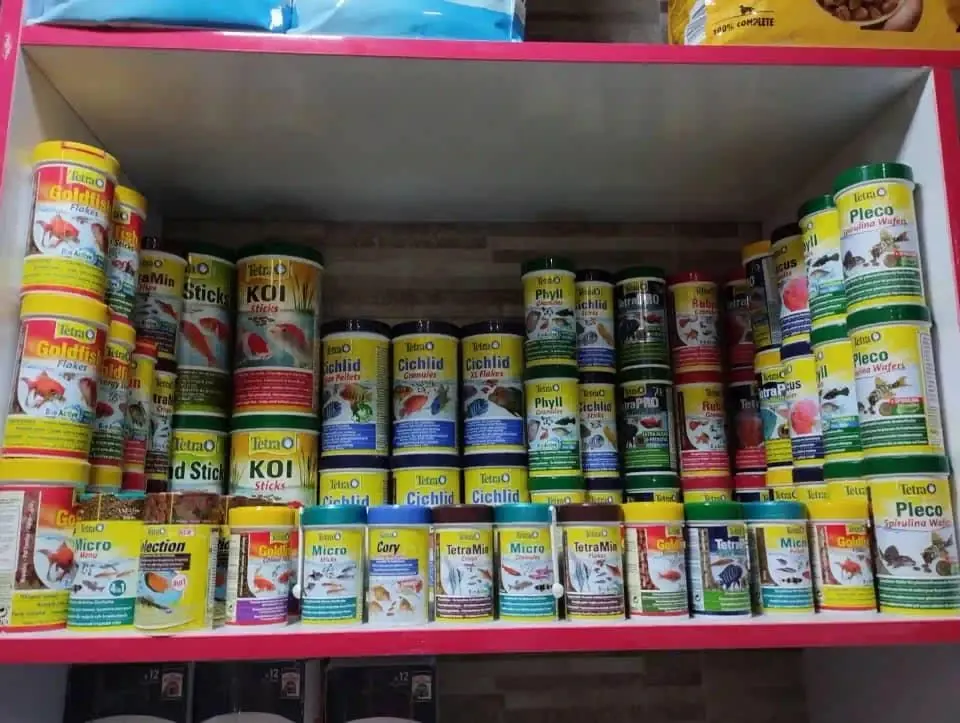 پت شاپ مینگو Mingo Pet
