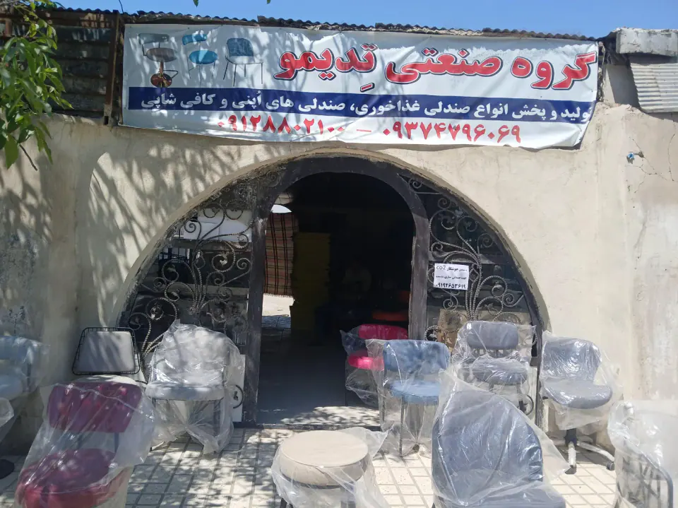گروه صنعتی تدیمو