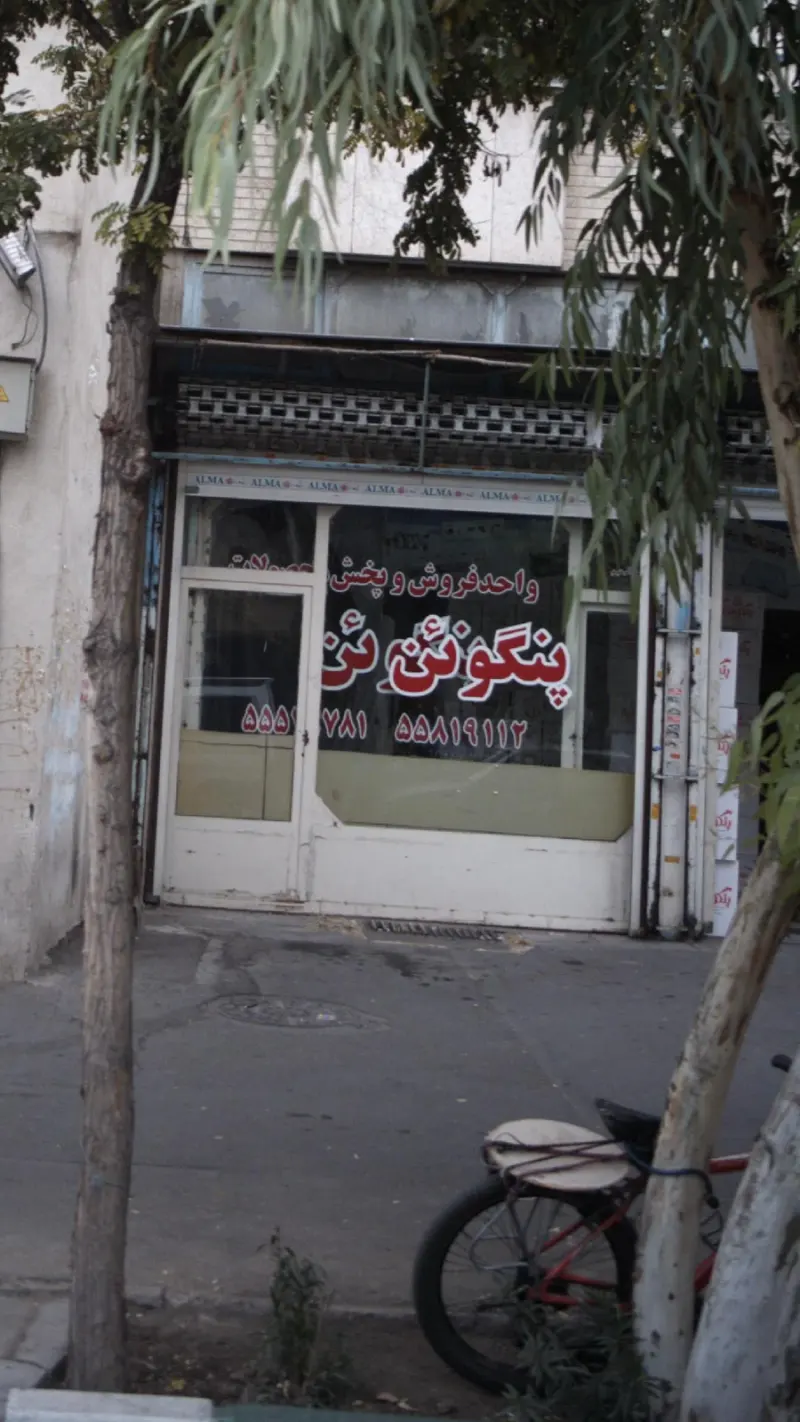 پنگوئن