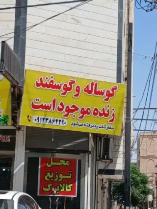 پروتئین غلامی