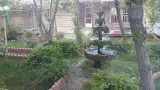 باغچه رستوران سعید