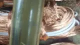 شات بلاست رجبیان