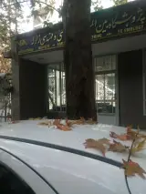 پژوهشگاه بین