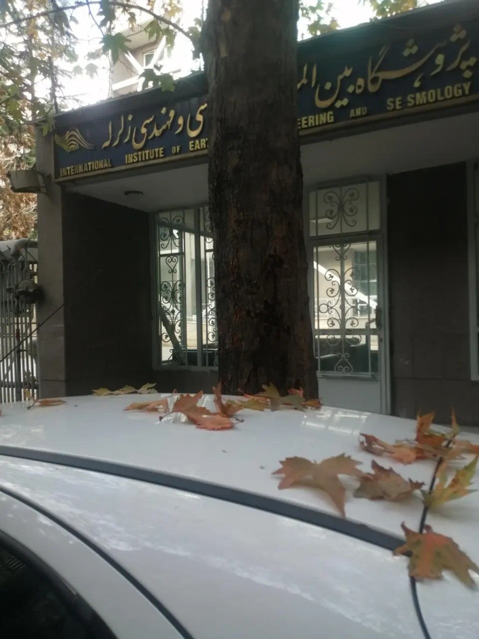پژوهشگاه بین