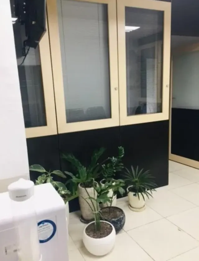 مطب دکتر مهدیه پاشائی