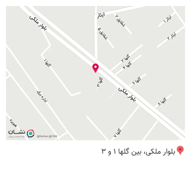 سوپر گوشت نمونه