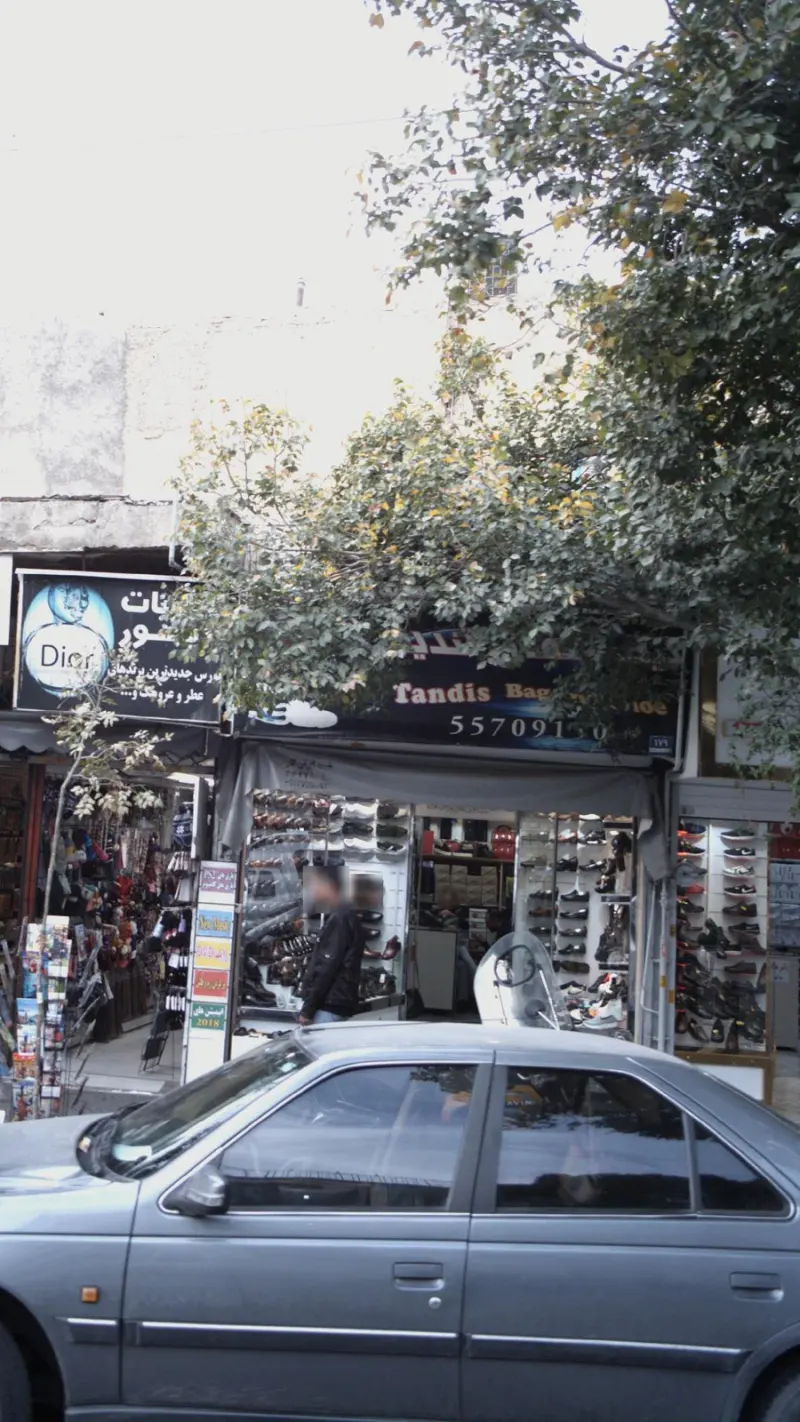 کیف و کفش تندیس
