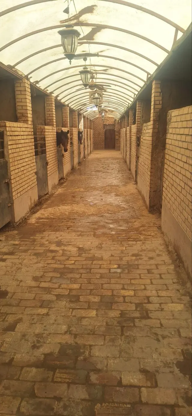 باشگاه سوار کاری کوروش