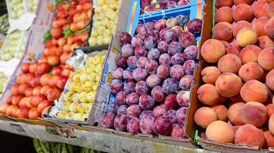 سوپر میوه شمس