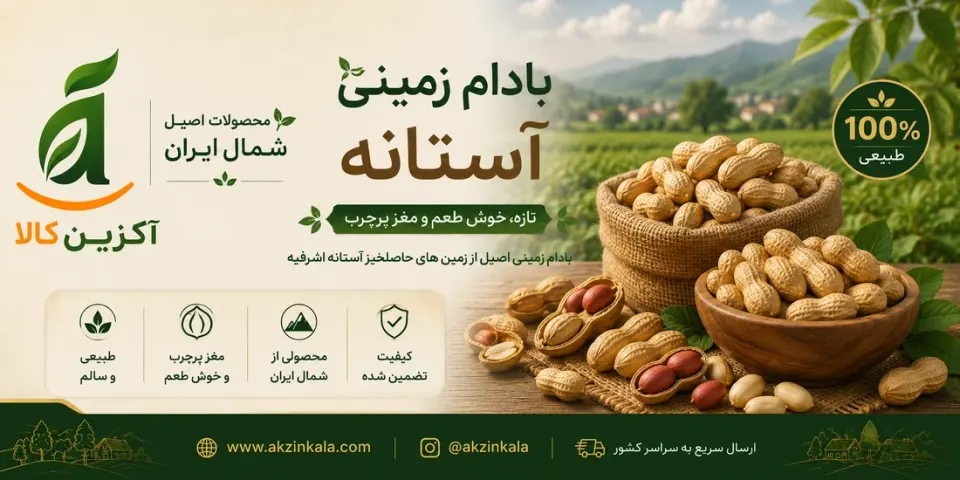 فروشگاه اینترنتی آكزين كالا مشهد