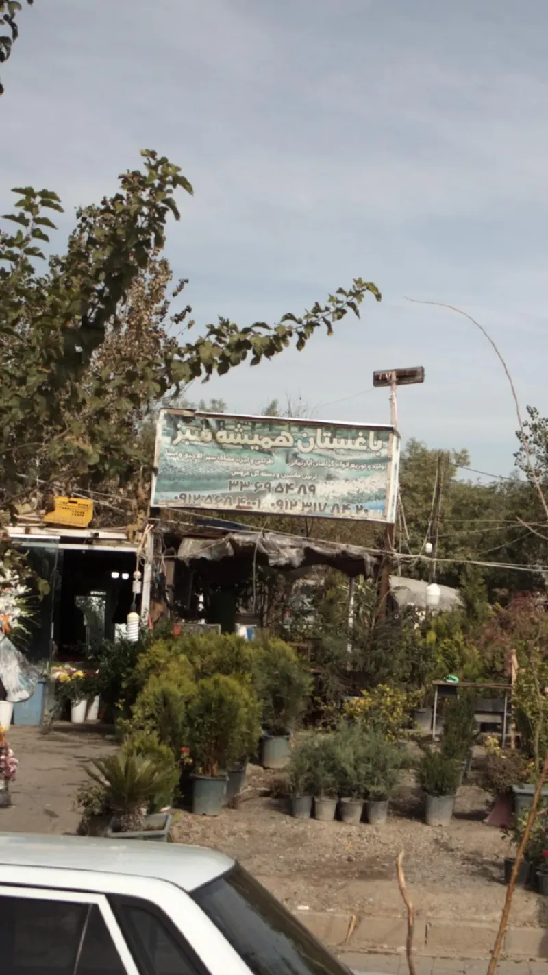 باغستان همیشه سبز