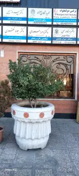 دکتر زهرا مسعودی متخصص زنان و زایمان