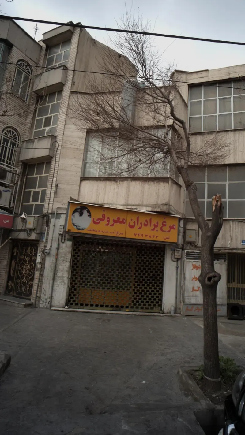 مرغ برادران