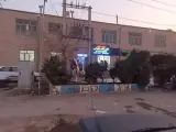 دامداری ندیمی