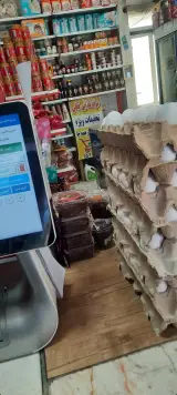 مواد غذایی فعلی