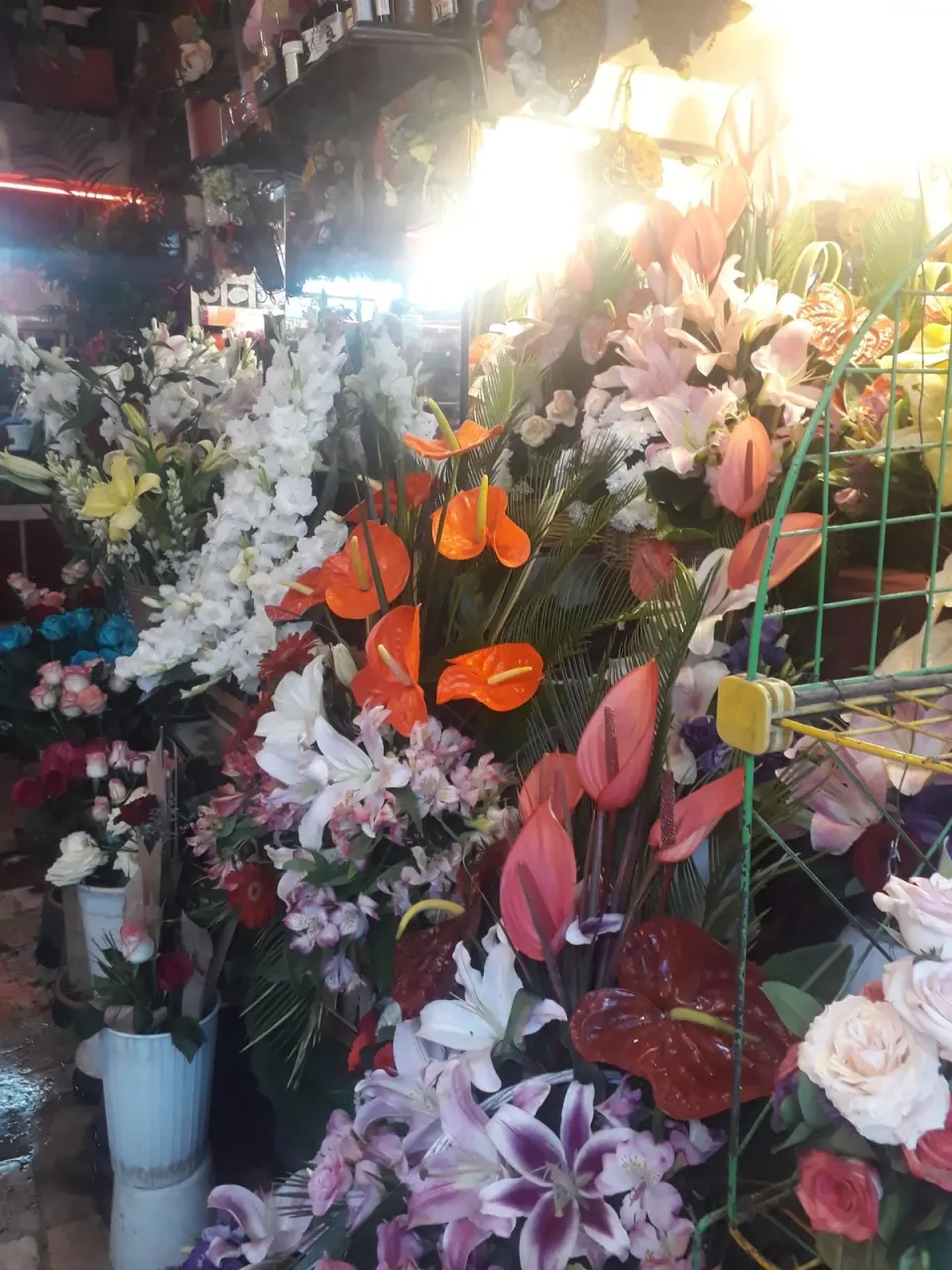 گلفروشی کاملیا