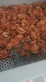 خشکبار سلامت سعادتیان