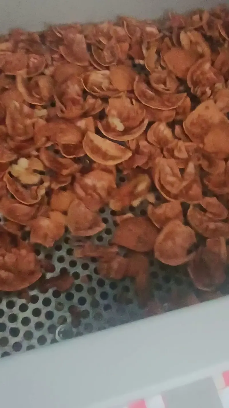 خشکبار سلامت سعادتیان
