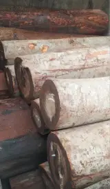 روکش زنی کسرئ