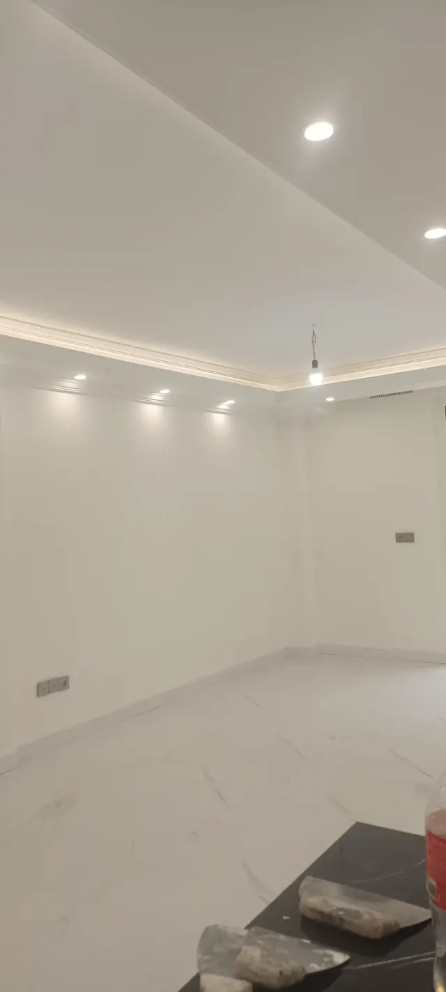 نقاش ساختمان فیضی