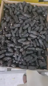 فروشگاه خرما